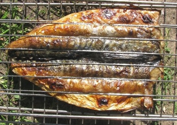 Как приготовить на мангале скумбрию