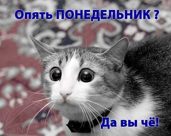 Одну целуют просто в губы с другой Одну целуют просто в губы с другой