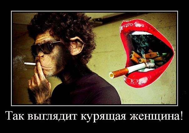 Цветотип зима: советы стилиста для женщины-зимы Финский Эпос Калевала