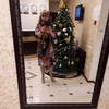 Людмила, 52, г.Жуковский Людмила, 52, г.Жуковский