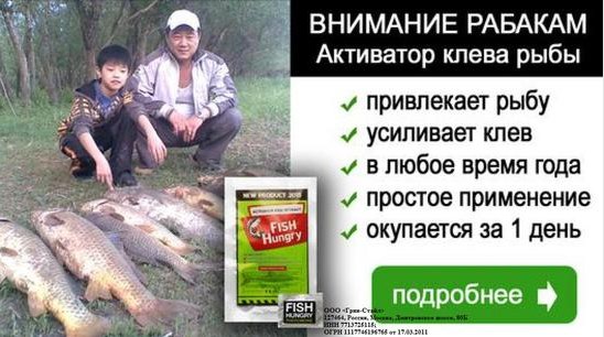 fishhungry в новосибирске fishhungry в новосибирске