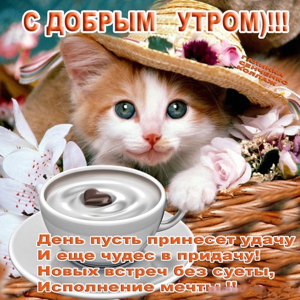 http://f1.mylove.ru/D6shMjagVp.jpg