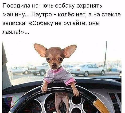 Комплимент маленькому ребенку Комплимент маленькому ребенку