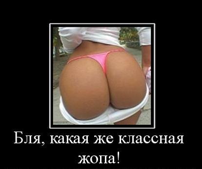 задница