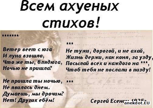 Я бы вдул тебе...