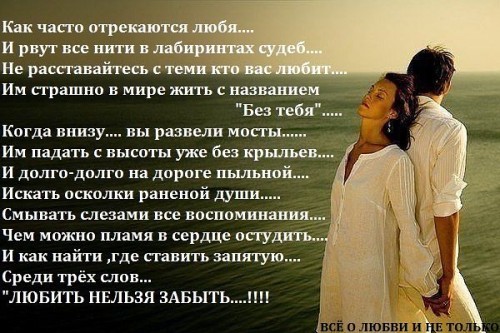 Цитаты из книги что я без тебя Цитаты из книги что я без тебя