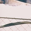 giorgi, 24, г.Батуми giorgi, 24, г.Батуми