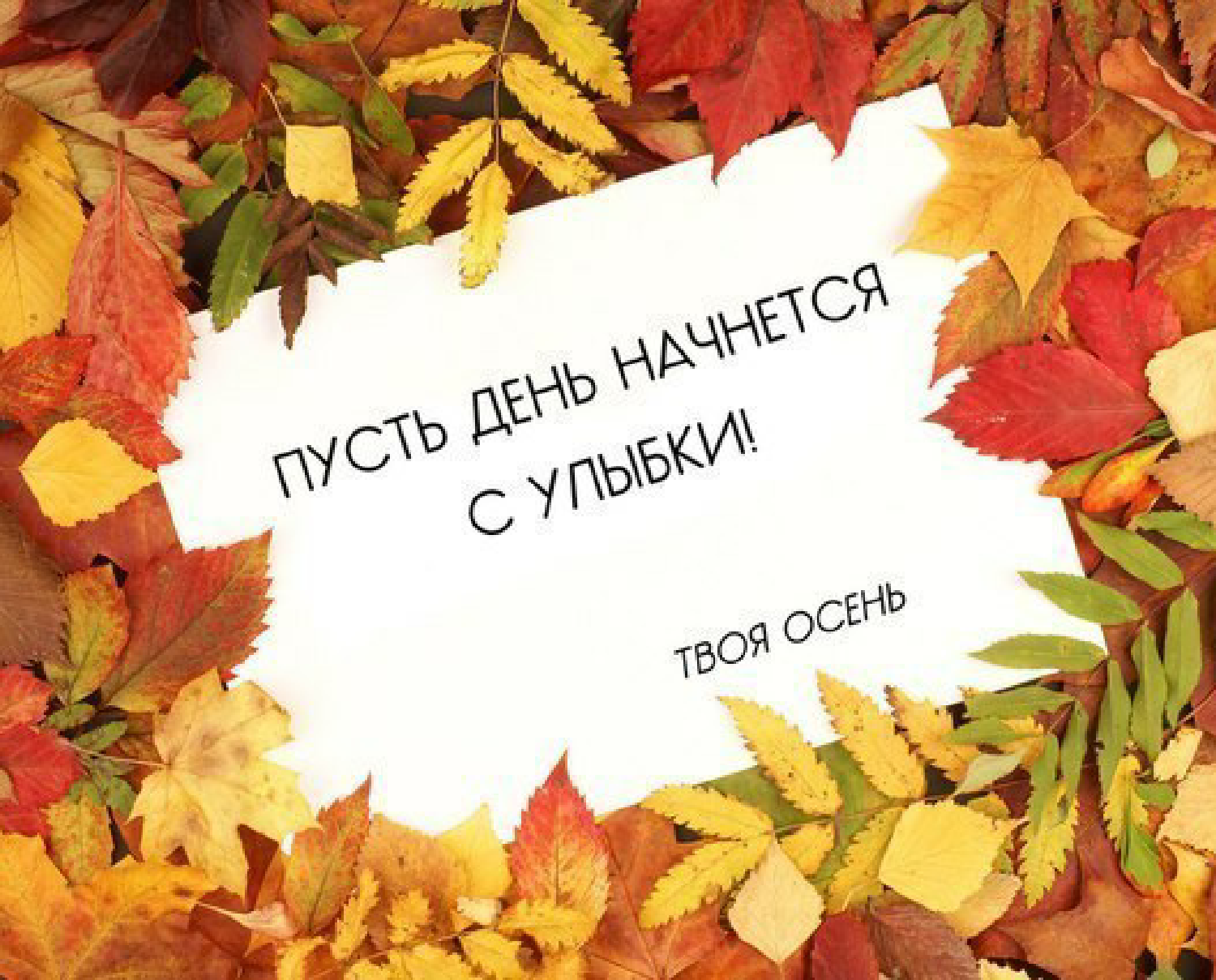 ЛитКульт Стихи 33 ЛитКульт Стихи 10