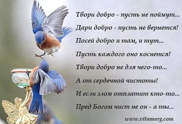 Творим красоту своими руками картинки