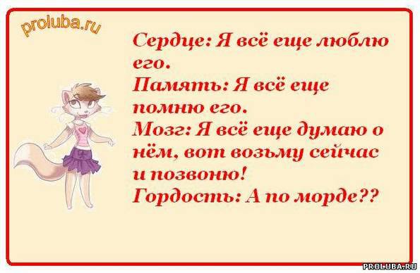 Прикольные и смешные афоризма про любовь Смешные афоризмы про любовь Цитаты о нас
