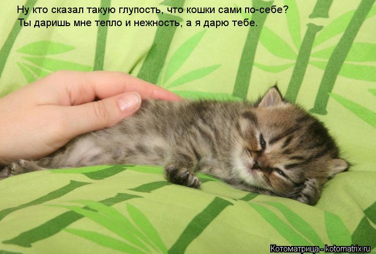 если ваше свое тепло мне даришь физической