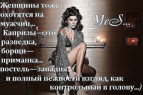 Открытка спокойной ночи мой котёнок Открытка спокойной ночи мой котёнок