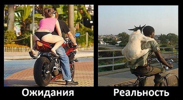 Анекдоты ожидание и реальность Анекдоты ожидание и реальность