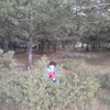 Наталья, 47, г.Камень-на-Оби Наталья, 47, г.Камень-на-Оби