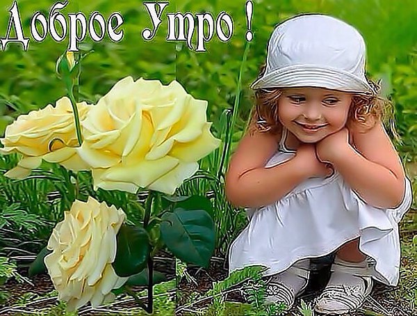Хорошего дня тебе малыш Хорошего дня тебе малыш