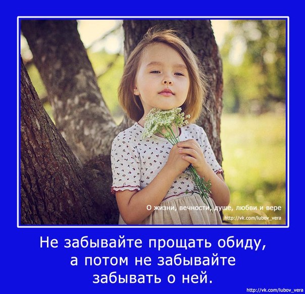 Лактофильтрум - инструкция по применению, отзывы, аналоги Лабрадор ретривер - щенки лабрадора ретривера Либра Д