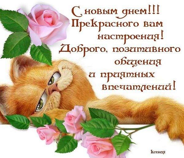 Пожелание доброй новинки Пожелание доброй новинки