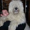 Сергій Нерян, 31, г.Рахов Сергій Нерян, 31, г.Рахов