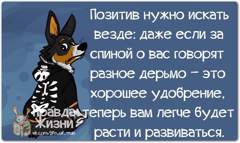 Не грузи меня статусы Не грузи меня статусы