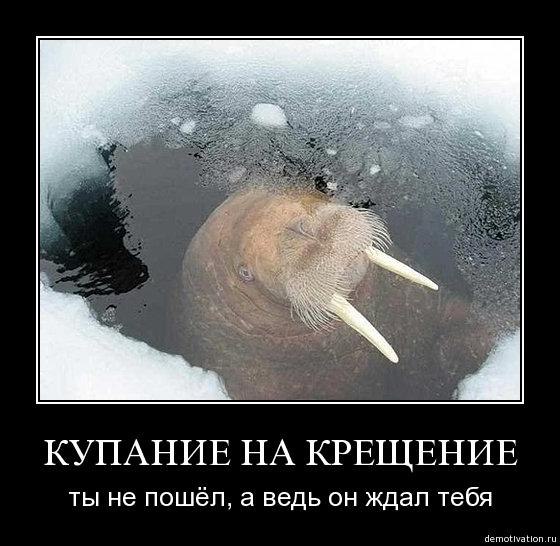 зависимости тканей, ловить рыбу в проруби во сне материалы, использующиеся для