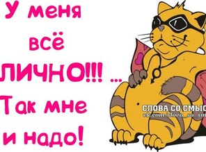 Цитаты у меня все супер Цитаты у меня все супер