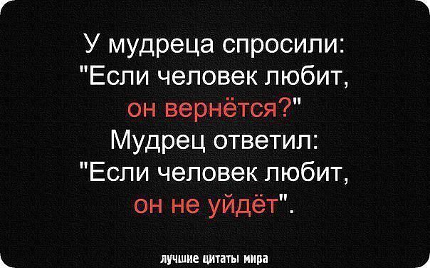 Картотека: Труд в природе. Старшая группа Каким должен быть уход за замиокулькасом в домашних условиях