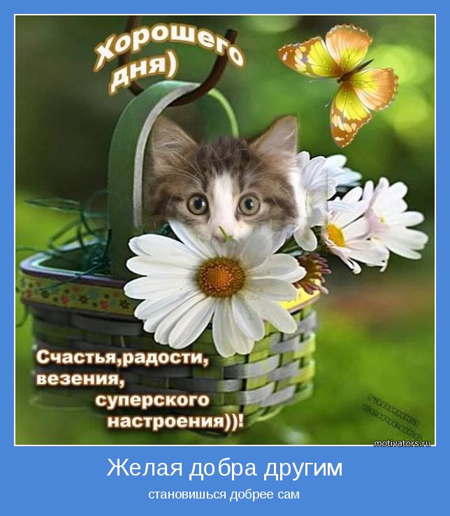 Пожелание доброго дня фото со словами Пожелание доброго дня фото со словами