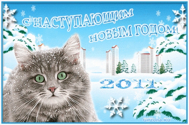 Поздравляю сергея и всех форумчан с новым 2011 годом.
