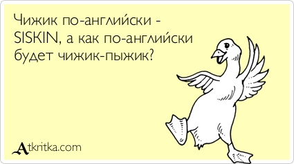 Грецкий орех. рецепты блюд