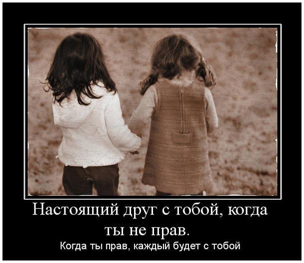 Коньяк, виски, шампанское, водка. Каталог алкоголя Какую семью можно признать малоимущей, помощь