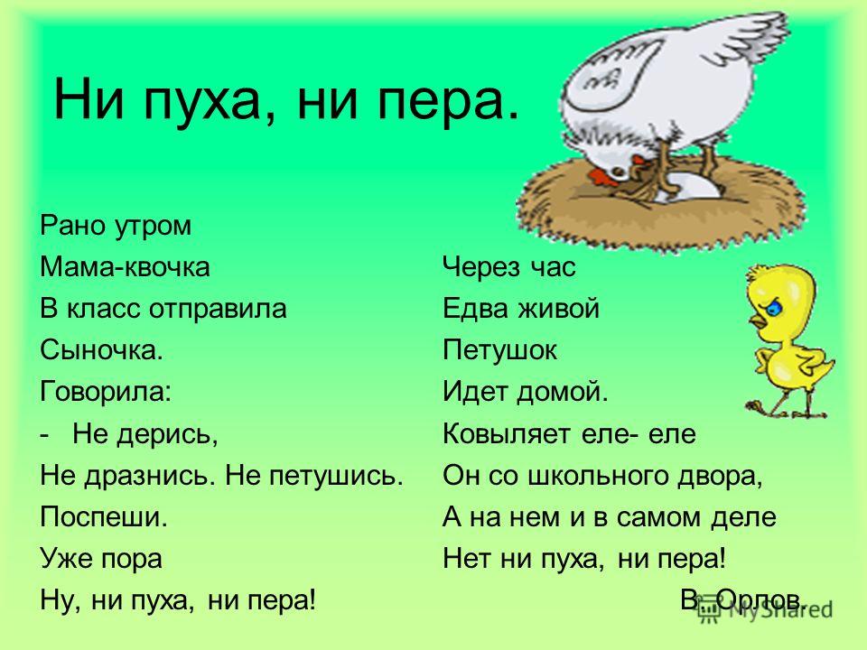 Пух и перья пословица Пух и перья пословица