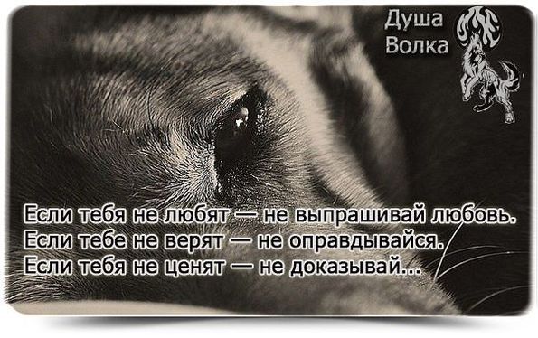 Статусы он не верит в мою любовь Статусы он не верит в мою любовь