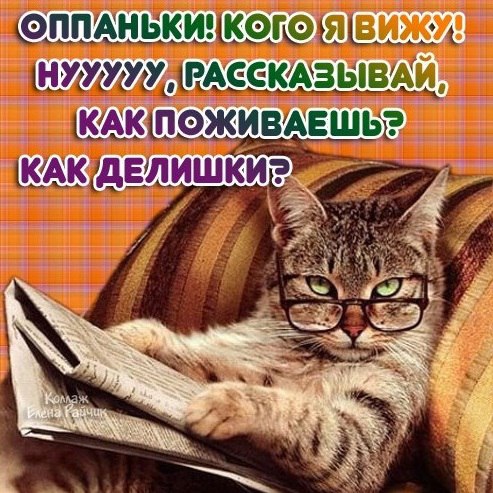 Стих как у тебя делишки Стих как у тебя делишки