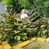 Vera, 66, г.Гаррисберг Vera, 66, г.Гаррисберг