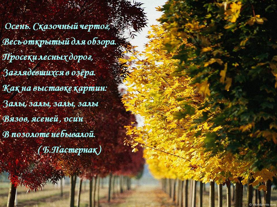 Стих есенберлина Стих есенберлина
