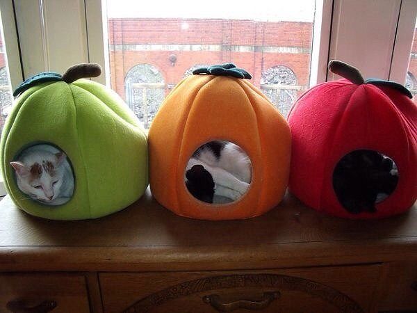 Домик из поролона для кошки Домик из поролона для кошки