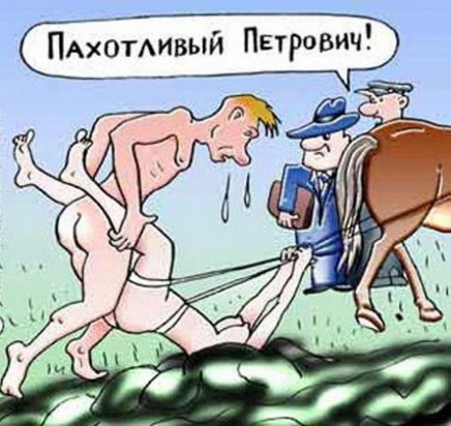 Угарные высказывания про секс Угарные Высказывания Про Секс