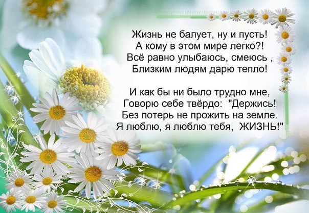 Здравствуй у меня все хорошо стих Здравствуй у меня все хорошо стих