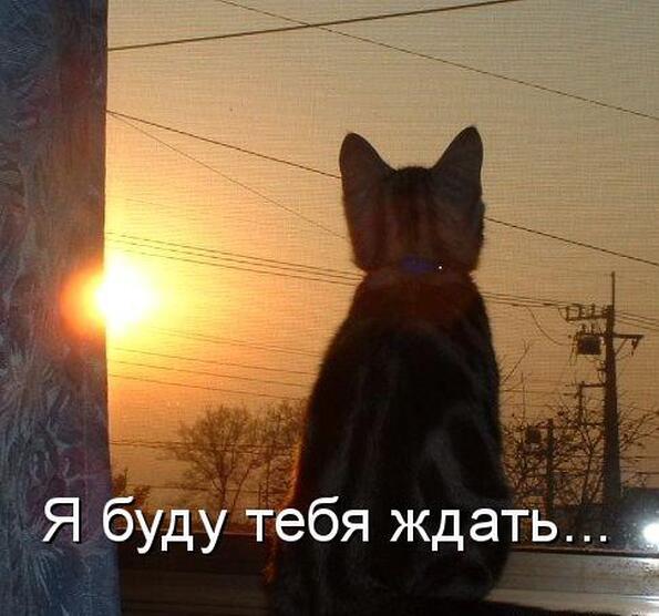 Мне дорого стало отныне Стихи (Лирика любовная) Живая/неживая природа. То, что сделал человек