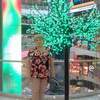 лиза, 66, г.Железногорск лиза, 66, г.Железногорск