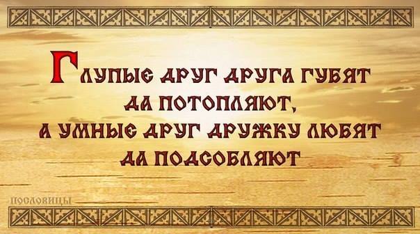 Прически для йоркширских терьеров мальчик Прически для йоркширских терьеров мальчик