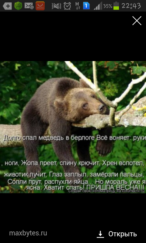 Стих долго спал медведь в берлоге все воняет Стих долго спал медведь в берлоге все воняет