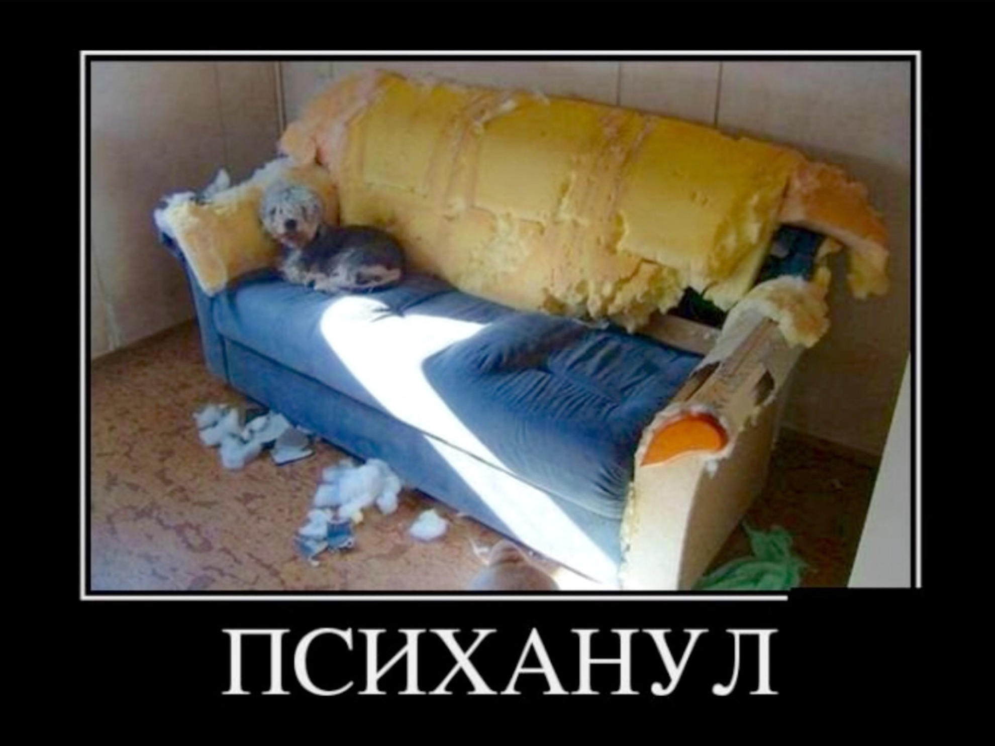 Прикольные картинки пятницы " ucrazy.ru - источник хорошего .