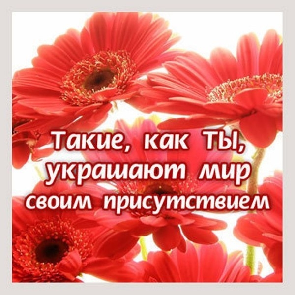 Ты самая открытки