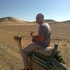 Фарид, 36, г.Каир Фарид, 36, г.Каир