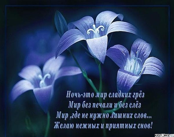 Стихи открытки нежных снов