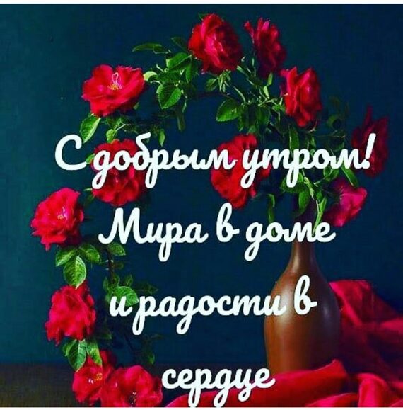 Очень красивые, доброе утро галочка открытка