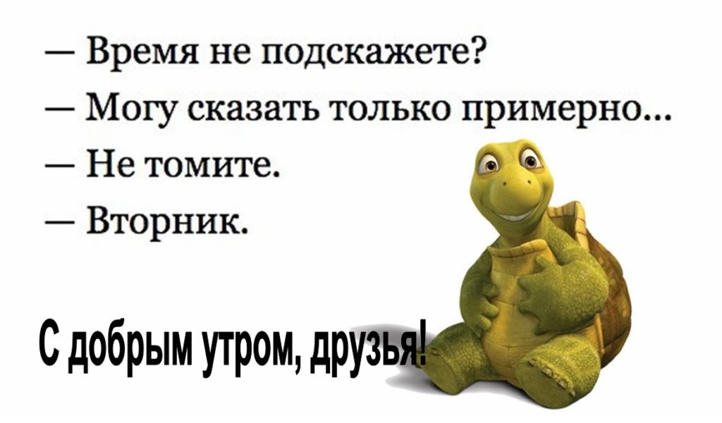 Прикольные картинки утро вторник картинки с надписями, подарить открытку