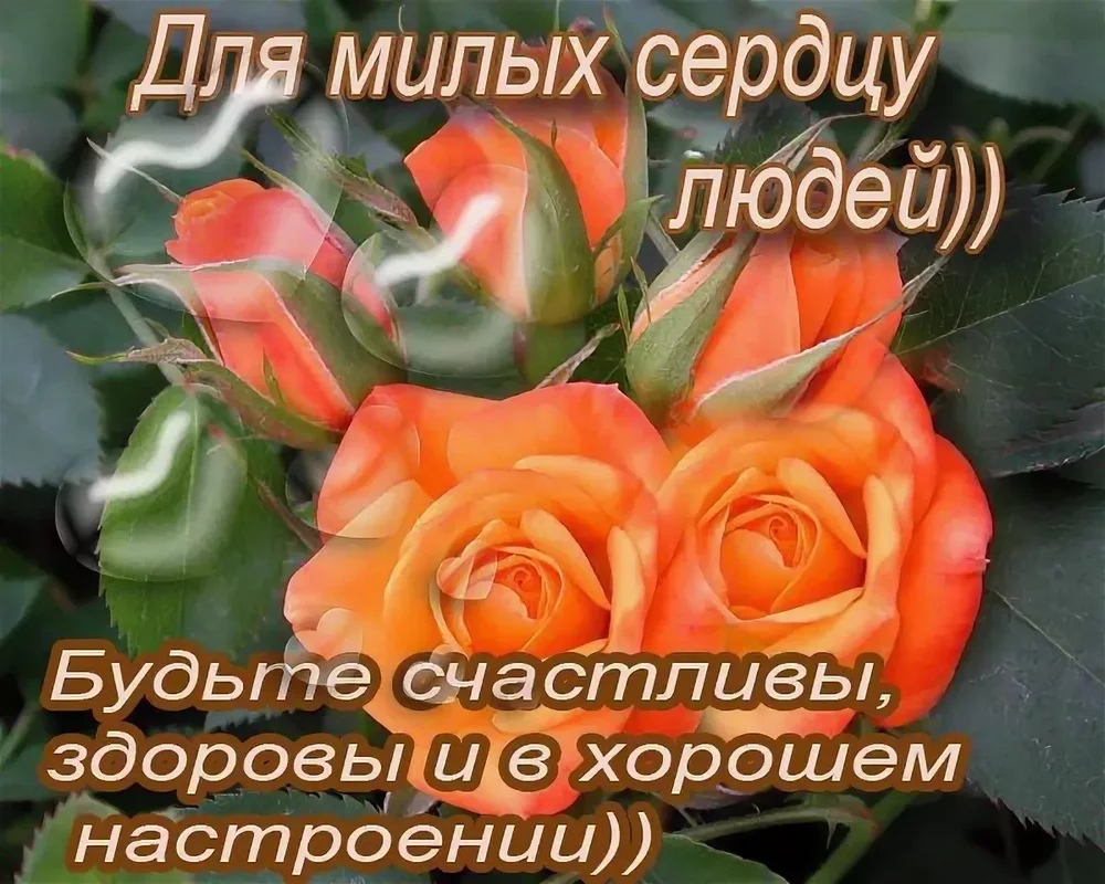 Открытки быть здоровой, днем