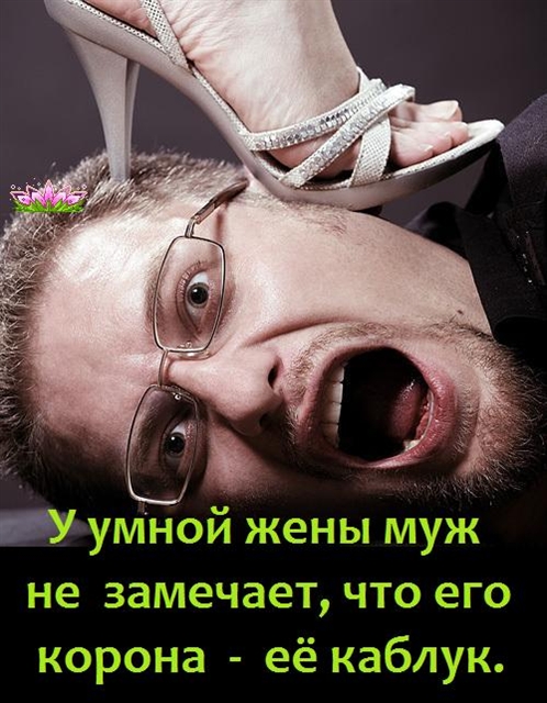 Прикольные картинки подкаблучников и альфонсов, днем